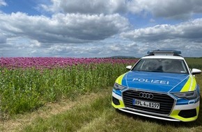 Polizeidirektion Neustadt/Weinstra&szlig;e: POL-PDNW: Betrunkener stiehlt E-Scooter