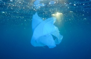 WWF World Wide Fund For Nature: Vor UN-Verhandlungen: WWF-Report fordert weltweite Verbote der umweltschädlichsten Kunststoffprodukte / Zweite UN-Verhandlungsrunde gegen Plastikverschmutzung findet vom 29.5. -2.6.23 in Paris statt