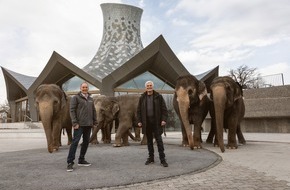 Debrunner Acifer AG Bewehrungen: Knies Kinderzoo: starkes Fundament für den Zauberhut