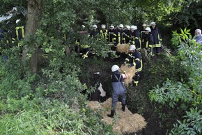 FW-KLE: Aufwendige Tierrettung: Kuh aus Graben gerettet