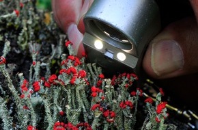 Nationalpark Hohe Tauern und Tiroler Naturparks: Gipfeltreffen internationaler Schutzgebietsforscher im Nationalpark Hohe Tauern - BILD