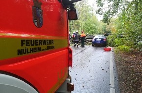 Feuerwehr Mülheim an der Ruhr: FW-MH: Baum fällt auf Fahrschul-Pkw