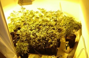 Polizeidirektion Bad Segeberg: POL-SE: Tangstedt: Kriminalpolizei entdeckt weitere Cannabisplantage