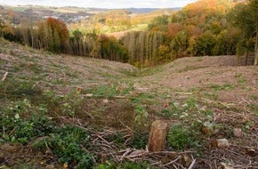 PENNY Markt GmbH: Klimaneutrale vegane Eigenmarke Food For Future: PENNY pflanzt 16.000 Bäume bei Overath / In Deutschland und Peru Waldschutzprojekte über ClimatePartner