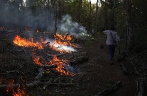 Gesellschaft für bedrohte Völker e.V. (GfbV): Waldbrände in Bolivien zerstören Millionen Hektar Tropenwald: Indigene Gebiete besonders stark betroffen