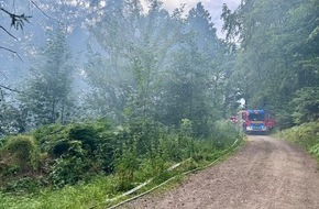 Feuerwehr Hagen: FW Hagen: Vegetationsbrand in Waldgebiet Ortsteil Hagen - Hohenlimburg