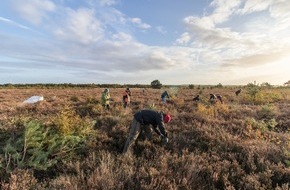 Bergwaldprojekt e.V.: Effektiver Arten- und Klimaschutz mit Freiwilligenarbeit in der Diepholzer Moorniederung