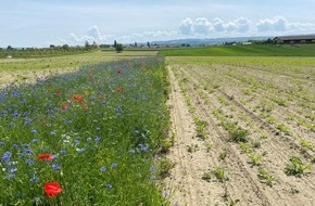 LIDL Schweiz: Lidl Schweiz fördert Biodiversität in der Schweiz / Projekte zur Erhaltung der Artenvielfalt