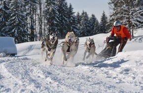 Bad Hindelang Tourismus: Winterspektakel für Mensch und Tier - Erster Schlittenhunde-Weltcup in Bad Hindelang seit 2018 – Kinder-Wettbewerb auf abgesicherter Strecke