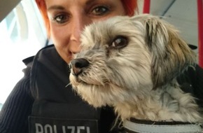 Bundespolizeiinspektion Erfurt: BPOLI EF: Bundespolizei mit Herz für Tiere