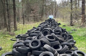 Polizeiinspektion Gifhorn: POL-GF: Da geh&ouml;ren sie nicht hin