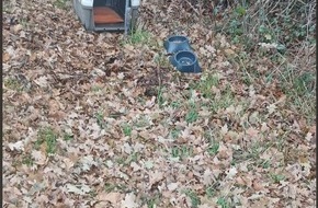 Polizeiinspektion Rotenburg: POL-ROW: Katzen ausgesetzt