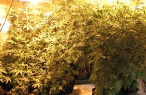 Polizeiinspektion Northeim: POL-NOM: Nach Zeugenhinweis - Cannabisplantage in Mietwohnung entdeckt - Bilder im Anhang -