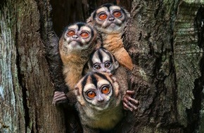 Naturmuseum St. Gallen: NaturVision Filmtage im Naturmuseum St.Gallen