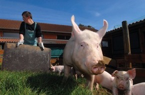 Demobetriebe Ökologischer Landbau: Praxistage für Berufsschulen