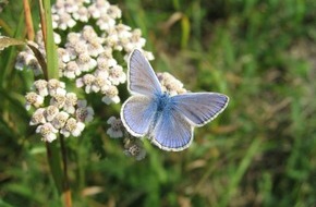 CEWE Stiftung & Co. KGaA: CEWE FOTOBUCH verlängert Online-Fotowettbewerb bis 31. Dezember / "Europe is beautiful" prämiert die besten Fotos unseres Kontinents (mit Bild)