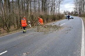 Freiwillige Feuerwehr Horn-Bad Meinberg: FW Horn-Bad Meinberg: Vier Einsätze innerhalb 90 Minuten