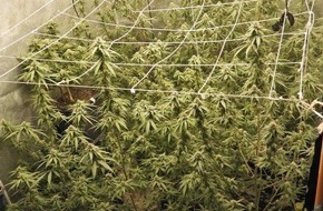 Polizei Mönchengladbach: POL-MG: Cannabisplantage in Rheindahlener Wohnung entdeckt