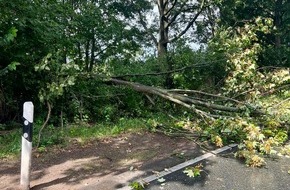 Freiwillige Feuerwehr Alpen: FW Alpen: Baum auf Fahrbahn gestürzt