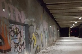 Bundespolizeiinspektion Magdeburg: BPOLI MD: Randalierer wüten am Bahnhof Halle-Neustadt - Zeugenaufruf der Bundespolizei
