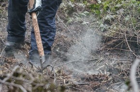 Freiwillige Feuerwehr Menden: FW Menden: Bodenfeuer in einem Waldstück