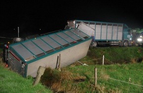 Polizeiinspektion Cuxhaven: POL-CUX: Viehtransporter kippte um - zwei Rinder verendeten bei Unfall (Bildanlage)