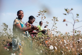 Cotton made in Africa nutzt weltraumgestützte Fernerkundung