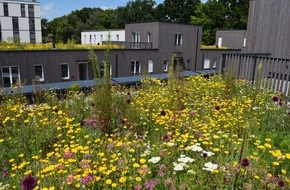 Deutsche Bundesstiftung Umwelt (DBU): DBU: Statt Beton mehr Wasser und Grün