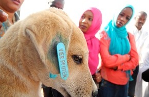 Vier Pfoten - Stiftung für Tierschutz: VIER PFOTEN: Erste Streunerhilfe-Mission in den UNAMID-Lagern in Darfur / Schulung sudanesischer Tierärzte wird Situation auch nachhaltig verbessern (mit Bild)