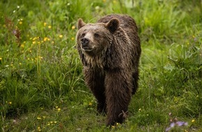 VIER PFOTEN - Stiftung für Tierschutz: Vergesellschaftung von Jambolina erfolgreich abgeschlossen