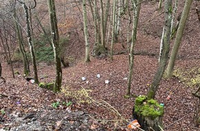 Polizeidirektion Mayen: POL-PDMY: Unerlaubter Umgang mit Abf&auml;llen