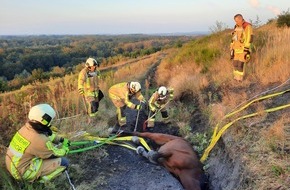 Feuerwehr Bottrop: FW-BOT: Aufwendige Pferderettung und Paralleleinsätze