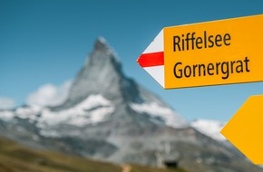 Ad hoc-Mitteilungen BVZ Holding AG: Ad hoc-Mitteilung gemäss Art. 53 KR: BVZ Gruppe übertrifft Erwartungen