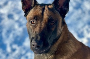 Polizeidirektion Ratzeburg: POL-RZ: Flucht vor der Polizeikontrolle - Tatverd&auml;chtiger durch Diensthund Duke gestellt