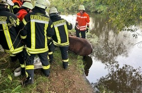 Kreisfeuerwehr Rotenburg (Wümme): FW-ROW: Pferd aus misslicher Lage befreit