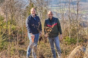 Krombacher Brauerei GmbH & Co.: Zum Tag des Waldes: Warum Aufforstung f&uuml;r Krombacher mehr ist als Naturschutz