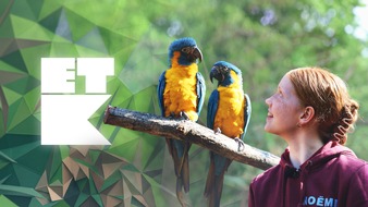 KiKA - Der Kinderkanal ARD/ZDF: Streaming-Highlights aus dem KiKA-Netzwerk im Oktober (10/2026)