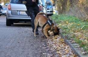 Polizei Minden-Lübbecke: POL-MI: Polizeihund "Antrax" spürt Automatenaufbrecher auf
