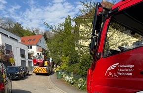 Feuerwehr Weinheim: FW Weinheim: Weinheimer Feuerwehr im Einsatz