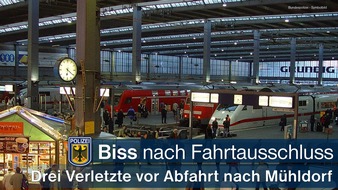 Bundespolizeidirektion München: Bundespolizeidirektion München: Vor DB-Mitarbeiterin entblößt - 33-Jähriger ließ am Hauptbahnhof die Hose runter