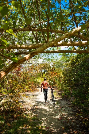 Reset in Miami: Die ruhigere Seite von Greater Miami & Miami Beach
