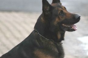 Polizei Rhein-Erft-Kreis: POL-REK: Diensthund "Toni" stellte Einbrecher - Brühl