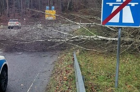 Polizeipräsidium Westpfalz: POL-PPWP: Stürmischer Mittwoch