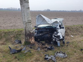 POL-STD: Unfälle in Stade, Sauensiek und Harsefeld - Zeugen gesucht - eine Autofahrerin tödlich verletzt