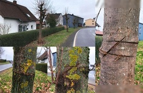 Polizeipräsidium Mittelhessen - Pressestelle Marburg-Biedenkopf: POL-MR: Ahornbäume irreparabel beschädigt