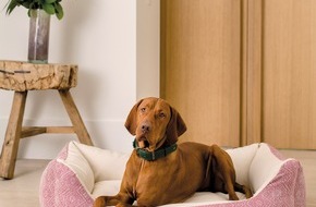 DOGSTYLER(R) Soest GmbH: DOGSTYLER® im Urlaub?/ Immer mehr Hoteliers setzen auf Komfort für den Hund