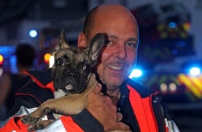 Feuerwehr der Stadt Arnsberg: FW-AR: Essen auf Herd macht Feuerwehr am Samstagabend flott:
Sanitäter fangen orientierungslosen Hund ein