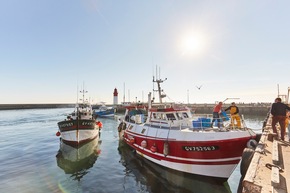 Sommer in den H&auml;fen der Bretagne: 6 Tipps entlang Frankreichs westlicher Halbinsel