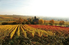 Südliche Weinstraße e.V.: Herbst an der Südlichen Weinstraße: "Keschde" in aller Munde