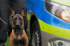 Polizei Hagen: POL-HA: Diensth&uuml;ndin Pixel stellt Einbrecher und zieht ihn am Arm aus einem Schrank